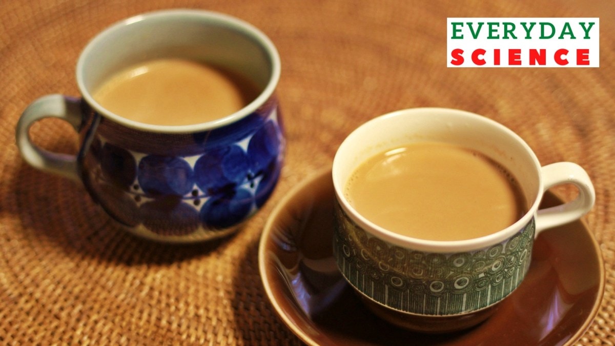 Tea or chai/representational.