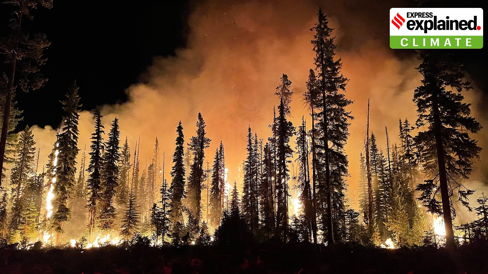 2023 was the warmest year