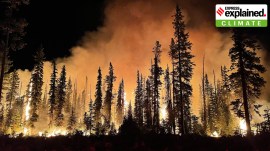 2023 was the warmest year