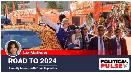 While Modi may have himself unveiled the 370-seat target, from the floor of Parliament, senior leaders admit the going remains tough, given that the party has already saturated its gains in the Hindi heartland and other traditional bastions. (PTI photo)