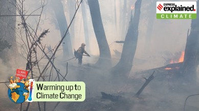 Wildfire in Nahuel Huapi National Park