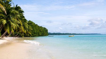 Best places to visit in India in March 202Havelock Island, Andaman India(Source Canva) 