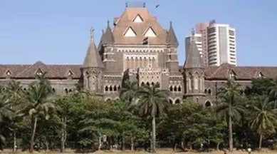 Bombay HC, HC seeks BMC response, unlicenced hawker issue, Mumbai hawkers trouble, Mumbai unauthorised stalls, Mumbai unlicensed hawkers, Mumbai hawkers encroachment, indian express news
