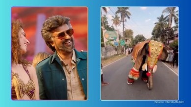 Mascot dresses up in elephant costume