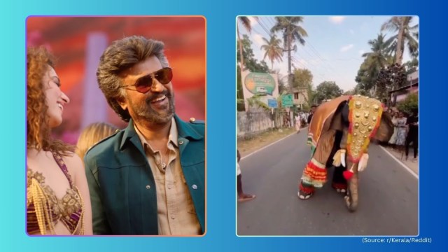 Mascot dresses up in elephant costume