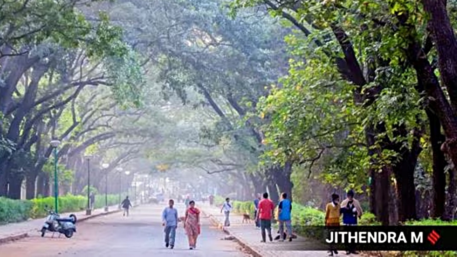 Govt allows vehicles inside Bengaluru’s Cubbon Park on 2nd, 4th ...