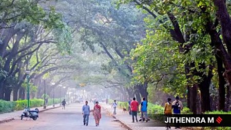 Cubbon Park