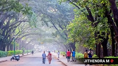 Cubbon Park