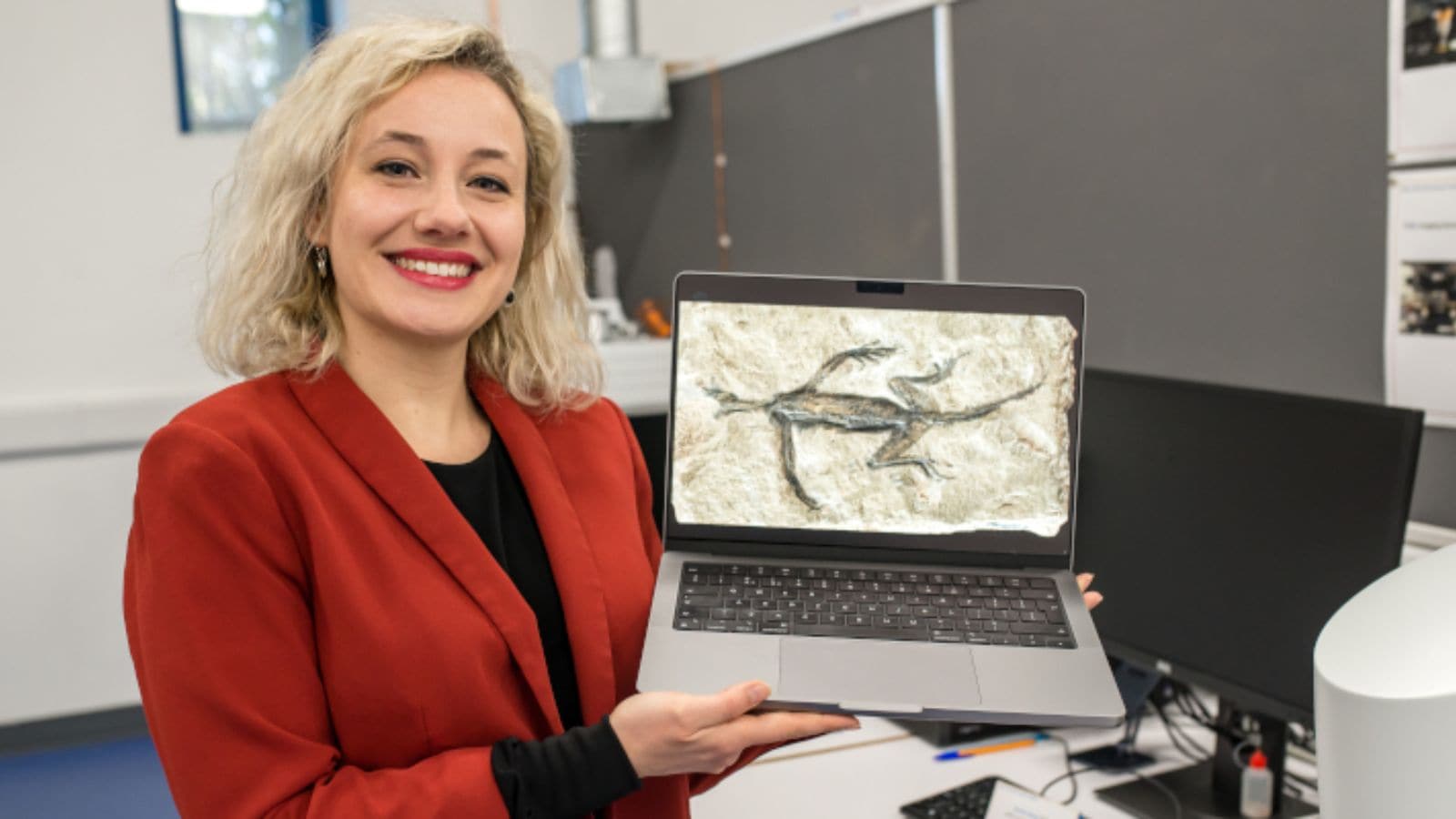 Never Before Seen Reptile Crest Found In Bizarre Fossil - xt69cpq