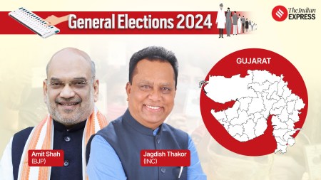Gujarat Lok Sabha Elections 2024: Schedule, phase, seats, candidates, results all you need to know