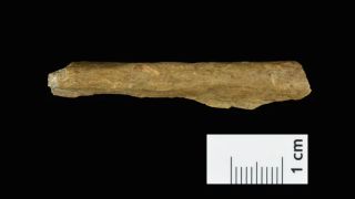 Human bone fragments found from the new exacavation at the site.