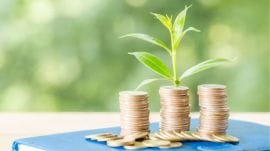 How to transfer an old Provident Fund (PF) to a new Provident Fund (PF) online in 2024