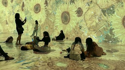 Van Gogh 360° comes to Pune, and nobody will tell you not to touch the art  this time