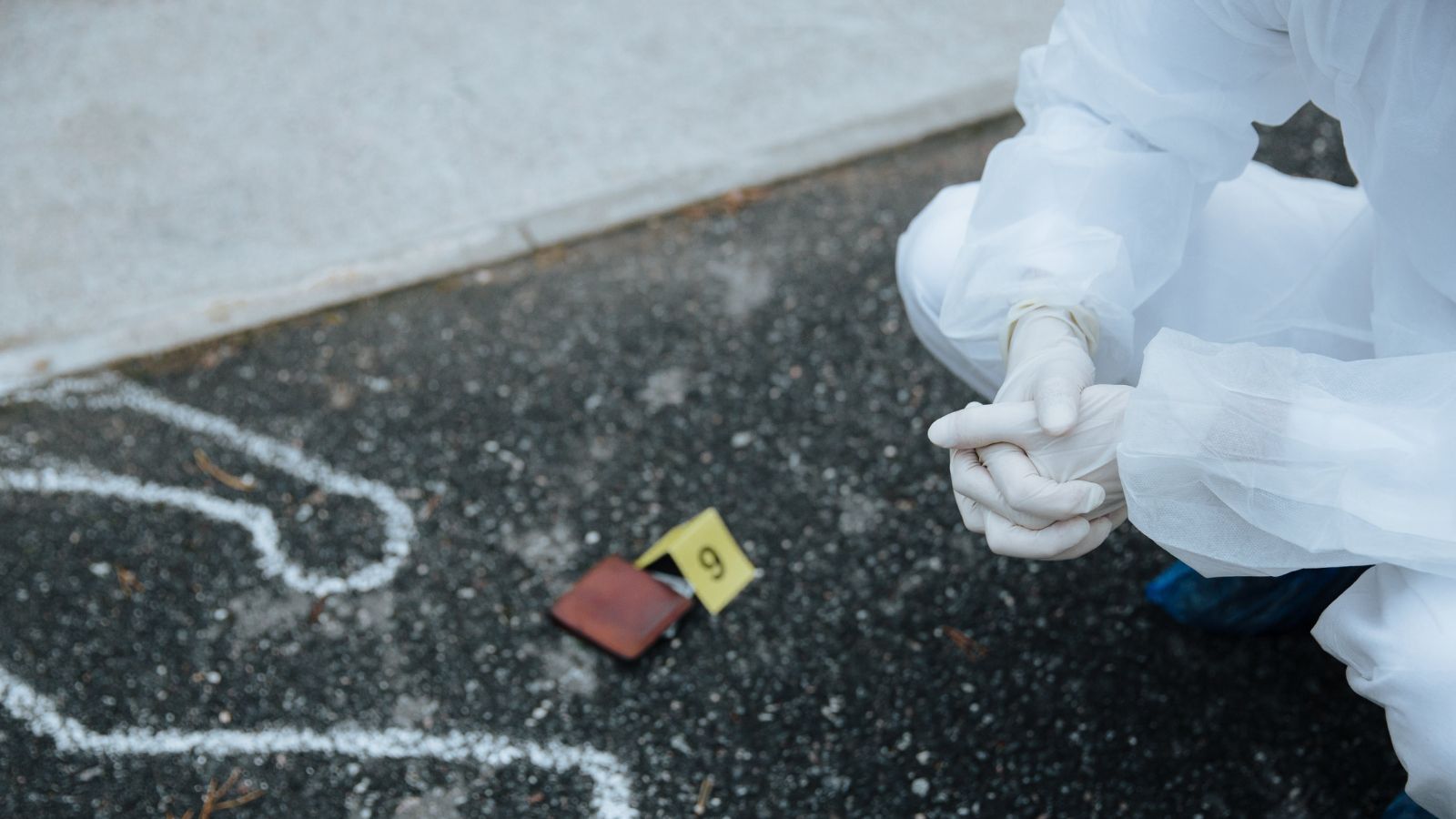 The study was conducted by decomposing 36 cadavers at different locations.