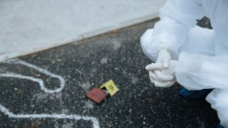 The study was conducted by decomposing 36 cadavers at different locations.