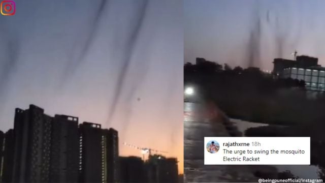 They were seen swirling over Mutha river.