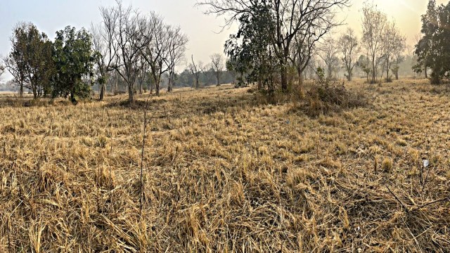 rajendra park