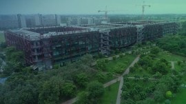 OP Jindal University