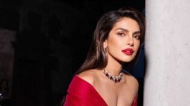 Priyanka Chopra becomes executive producer for oscar nominated documenatry To Kill A Tiger