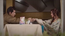 Randeep Hooda and Ileana D'Cruz in Tera Kya Hoga Lovely