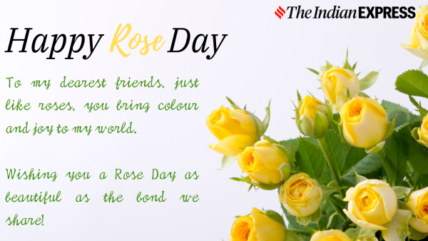 Happy Rose Day 2024: Share Heartfelt Wishes and Quotes with Friends, Family, and Partners