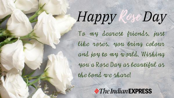 Happy Rose Day 2024: Celebrate Love with Rose Day Wishes, Quotes, and Images