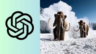 Video created using OpenAI's Sora