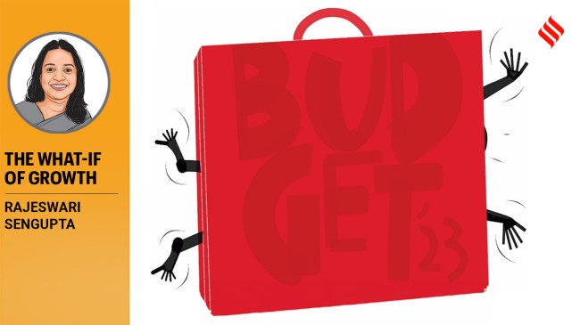 interim Union budget, Union budget, Budget, Budget 2024, finance ministry, indian economy, interim budget 2024, Indian express news, current affairs