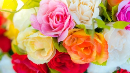 Rose Day 2024: From Date to Significance, Everything You Need to Know