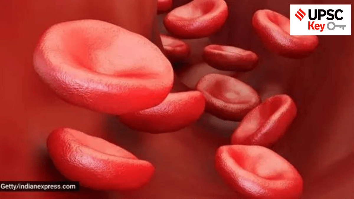 UPSC, upsc 2024, Upsc Prelims results, UPSC key terms, upsc news, upsc syllabus, UPSC KEY, Upsc Key terms, IAS current affairs, upsc Key Indian express, The Indian Express current Affairs, Is Indian Express Good for UPSC, upsc today news, upsc newspaper, Indian express today important news for upsc, Indian express monthly current affairs, What should I read in Indian Express for UPSC today, UPSC Answer Key, UPSC Online, IAS, IPS, upsc current affairs news, UPSC KEY News, UPSC Civil services news, UPSC Prelims 2023, UPSC Mains 2023, UPSC Mains 2023, UPSC Mains 2024, UPSC Prelims 2024, UPSC General Studies 1, UPSC General Studies II, UPSC General Studies III, UPSC General Studies IV, upsc, upsc mains 2023, UPSC mains answer writing, upsc GS paper 1, upsc mains GS paper 1, upsc geography, upsc history, gs paper 1, upsc, upsc mains 2023, UPSC mains answer writing, upsc gs paper 4, upsc mains gs paper 4, upsc ethics, gs paper 4, sarkari naukri, government jobs, Current events of national and international importance, History of India and Indian National Movement, Indian Heritage and Culture, History and Geography of the World and Society, Governance, Constitution, Polity, Social Justice and International relations, Technology, Economic Development, Bio diversity, Environment, Security and Disaster Management Ethics, Integrity and Aptitude, Indian Express UPSC Key, Upsc Indian Express, Rahul Gandhi, Congress, BJP, Narendra Modi, PM, Amit Shah, Home Minister, Arvind Kejriwal, AAP, Interim Budget, Fiscal, Nominal GDP, Real GDP, Nirmala Sitharaman, Interim Budget 2024, Credit System CBSE, Public Examinations (Prevention of Unfair Means) Bill, 2024 and Uniform Civil Code (UCC) in Uttarakhand, Role of Returning Officer, All India Survey on Higher Education, Moh-Juj, Manufacturing sector, Eight core sector industries in the Indian Economy, repo rate, people for ethical treatment of animals, Dharavi redevelopment project