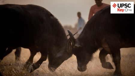 UPSC, upsc 2024, Upsc Prelims results, UPSC key terms, upsc news, upsc syllabus, UPSC KEY, Upsc Key terms, IAS current affairs, upsc Key Indian express, The Indian Express current Affairs, Is Indian Express Good for UPSC, upsc today news, upsc newspaper, Indian express today important news for upsc, Indian express monthly current affairs, What should I read in Indian Express for UPSC today, UPSC Answer Key, UPSC Online, IAS, IPS, upsc current affairs news, UPSC KEY News, UPSC Civil services news, UPSC Prelims 2023, UPSC Mains 2023, UPSC Mains 2023, UPSC Mains 2024, UPSC Prelims 2024, UPSC General Studies 1, UPSC General Studies II, UPSC General Studies III, UPSC General Studies IV, upsc, upsc mains 2023, UPSC mains answer writing, upsc GS paper 1, upsc mains GS paper 1, upsc geography, upsc history, gs paper 1, upsc, upsc mains 2023, UPSC mains answer writing, upsc gs paper 4, upsc mains gs paper 4, upsc ethics, gs paper 4, sarkari naukri, government jobs, Current events of national and international importance, History of India and Indian National Movement, Indian Heritage and Culture, History and Geography of the World and Society, Governance, Constitution, Polity, Social Justice and International relations, Technology, Economic Development, Bio diversity, Environment, Security and Disaster Management Ethics, Integrity and Aptitude, Indian Express UPSC Key, Upsc Indian Express, Rahul Gandhi, Congress, BJP, Narendra Modi, PM, Amit Shah, Home Minister, Arvind Kejriwal, AAP, Interim Budget, Fiscal, Nominal GDP, Real GDP, Nirmala Sitharaman, Interim Budget 2024, Credit System CBSE, Public Examinations (Prevention of Unfair Means) Bill, 2024 and Uniform Civil Code (UCC) in Uttarakhand, Role of Returning Officer, All India Survey on Higher Education, Moh-Juj, Manufacturing sector, Eight core sector industries in the Indian Economy, repo rate, people for ethical treatment of animals, Dharavi redevelopment project