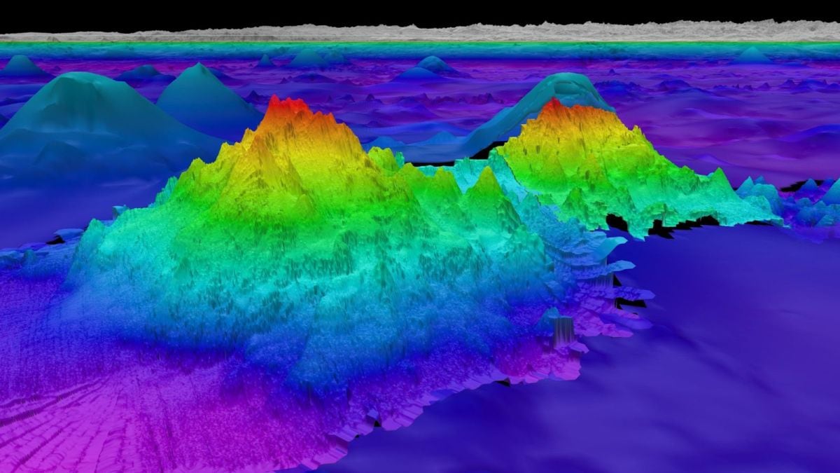 The largest of the four seamounts recently discovered by Schmidt Ocean Institute experts is 2,681 meters tall. (Schmidt Ocena Institute)