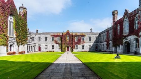 University of Galway scholarships: No separate application is required.