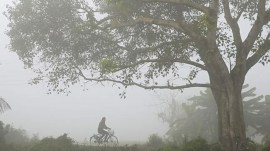 West Bengal fog