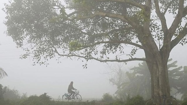West Bengal fog