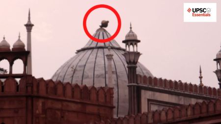 UPSC Daily Subject-wise quiz | History, Culture, and Social Issues (Week 44)