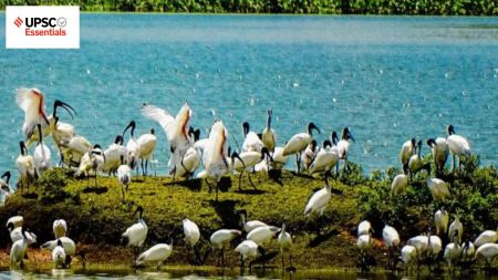 UPSC Daily subject-wise quiz — Environment, Geography, Science and Technology (Week 44)