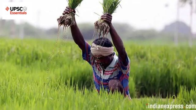 UPSC Daily subject-wise quiz | Economy (Week 47)