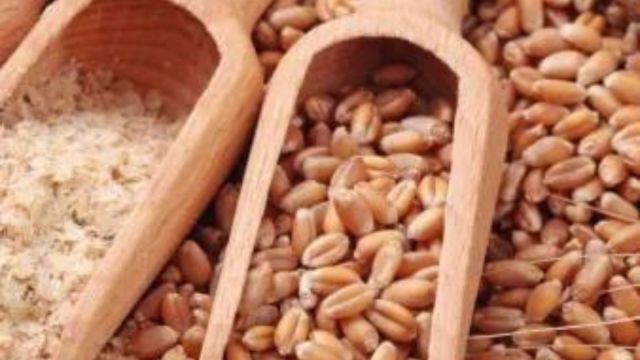Turkey wheat