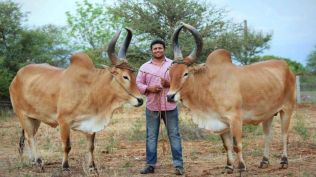 Vetri Duraisamy death