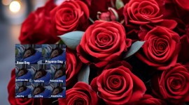 Rose Day 2024