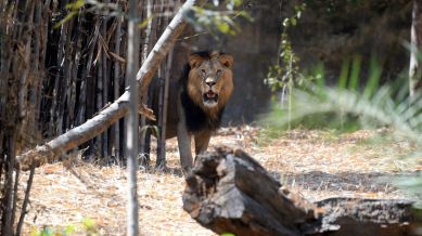 What's in a name Nothing as far as animals themselves are concerned, say zoo keepers