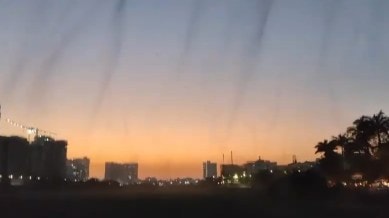 mosquito swarms