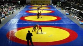 WFI suspension