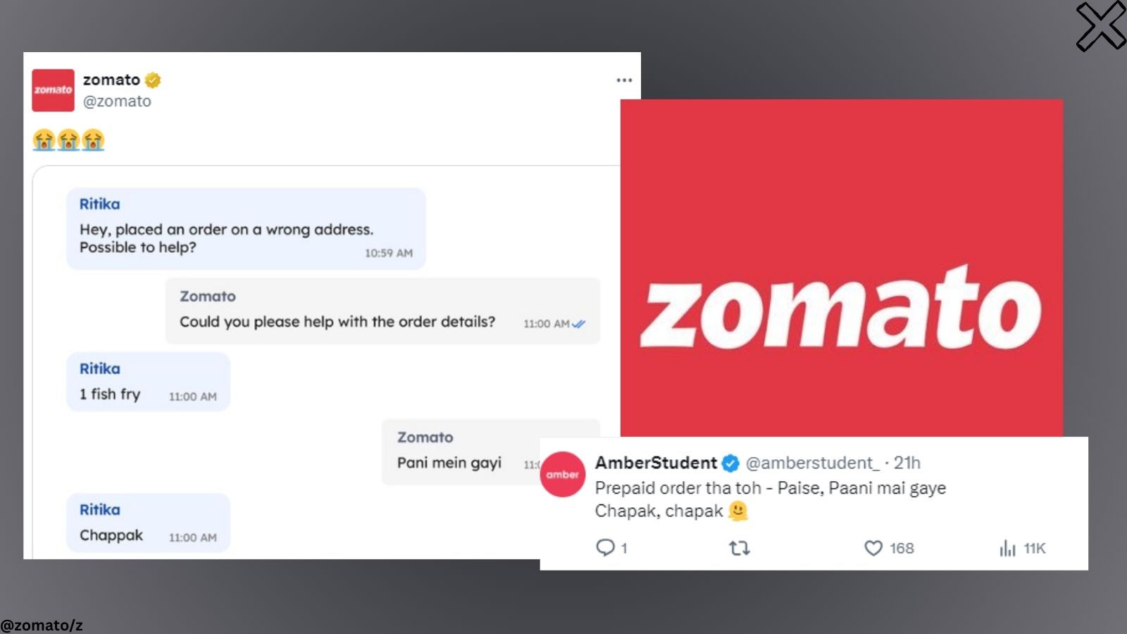 Customer orders 1 fish fry, Zomato responds with 'Paani mein gayi' |  Trending News - The Indian Express