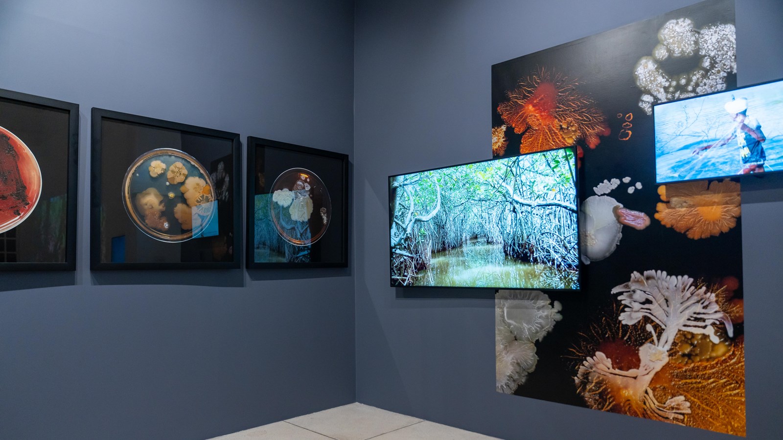 Art meets ecology: ‘Critical Zones’ exhibition spotlights Earth’s fragile ecosystems