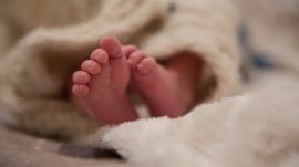 A newborn baby was found abandoned in a bag tied to a tree branch in Punjab's Maloya village on Sunday.