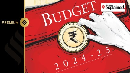 Budget 2024: Concerns over GDP, spending cuts; fiscal deficit is bright spot