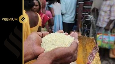 India has invoked the ‘peace clause’ several times at the WTO for breaching the prescribed 10 per cent subsidy ceiling on rice procurement. (File Photo)