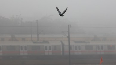 delhi weather, delhi foggy winter, delhi maximum temperature, IMD delhi weather prediction, delhi cold wave, delhi smog, delhi aqi, delhi air quality index, indian express news